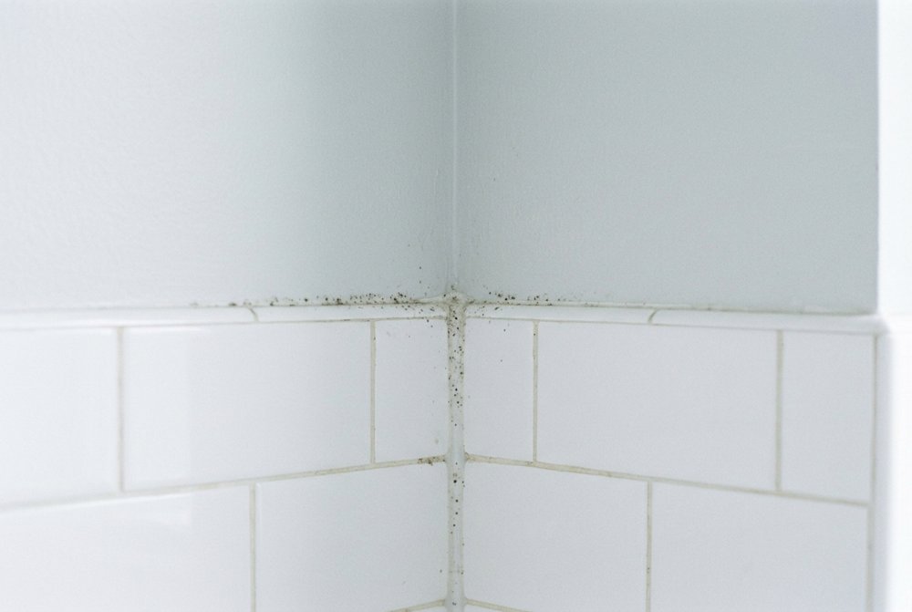 B0-problem-mild-grout__v1