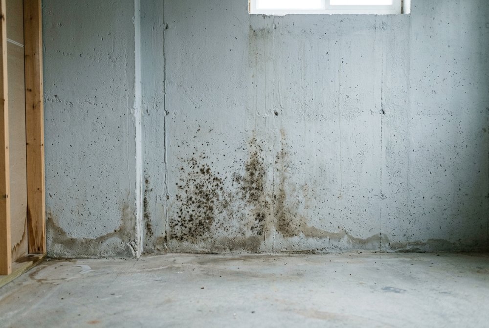 B0-problem-moderate-basement-wall__v1
