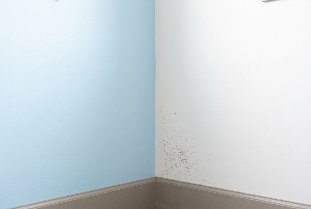 B5-severity-mild-wall__v1
