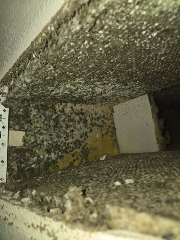 Severe mold colonizing an HVAC duct/vent interior
